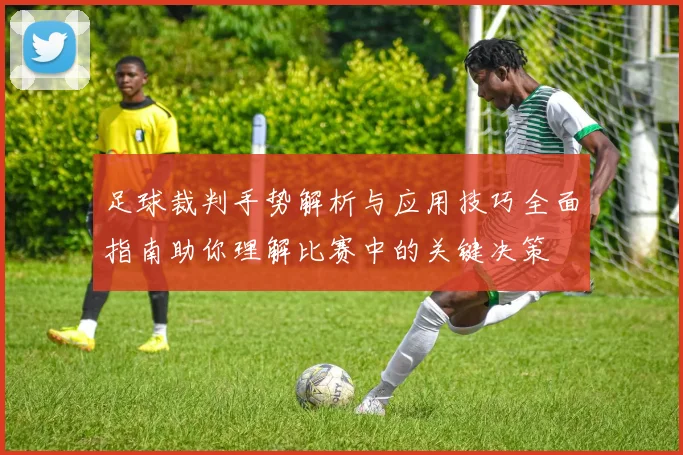 足球裁判手势解析与应用技巧全面指南助你理解比赛中的关键决策