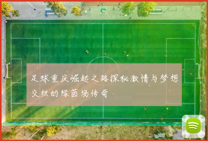 足球重庆崛起之路探秘激情与梦想交织的绿茵场传奇